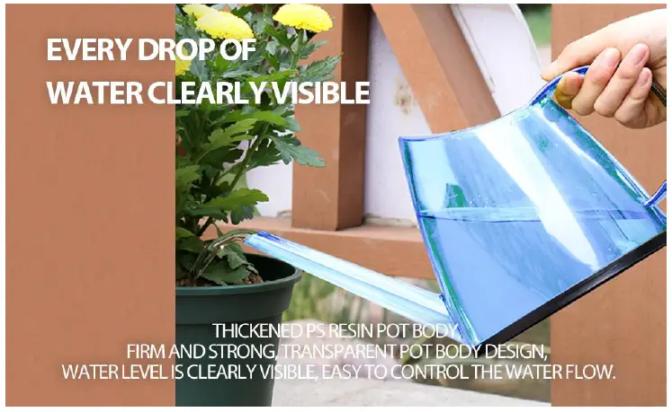 Unbranded-B09X1MD1MB-Indoor-and-Outdoor-Bonsai-Plants-Garden-Flowers-FIG- (2)