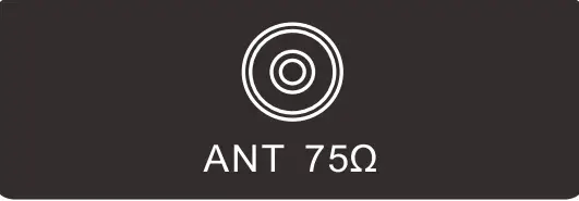 ANT 75