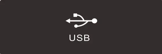 USB input