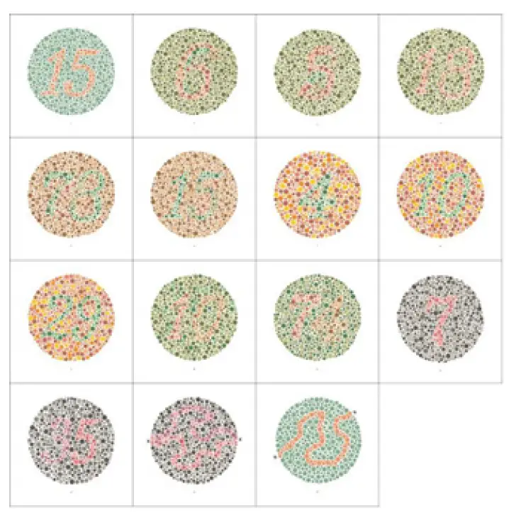 GIMA M31288EN Adult Chart For Color Blindness Testing 1