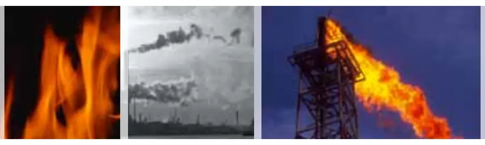 Fire Sentry FS20X
Detector