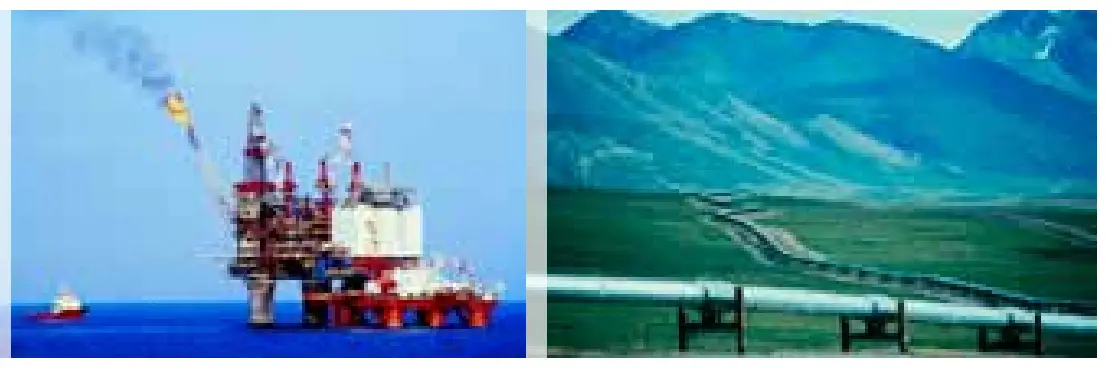 Fire Sentry FS20X
Detector