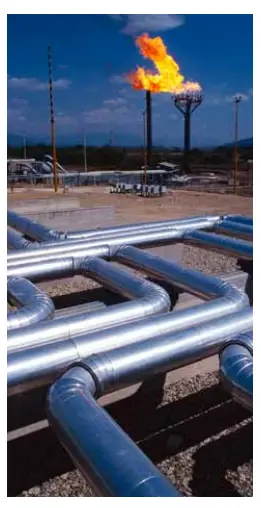 Fire Sentry FS20X
Detector