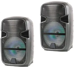 naxa NDS 1218D 12 Inch Dual Portable Speakers with Bluetooth and TWS