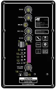 naxa NDS 1218D 12 Inch Dual Portable Speakers with Bluetooth and TWS - CONTROL PANEL