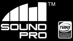 naxa NDS 1218D 12 Inch Dual Portable Speakers with Bluetooth and TWS - icon