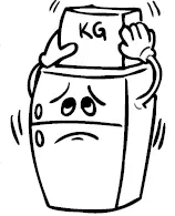 koncar HC1A60348SFDN REFRIGERATOR-4