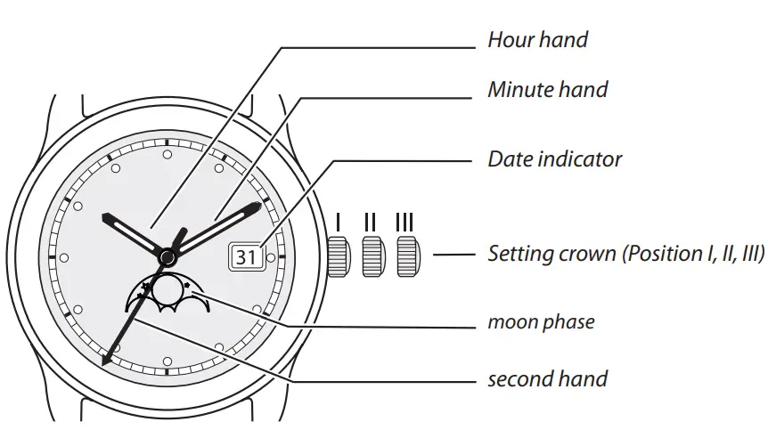DISPLAY. Watch hands