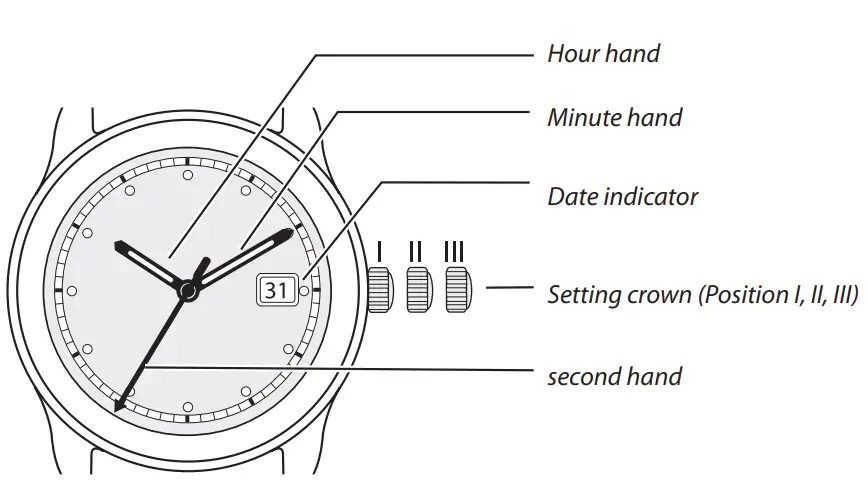 DISPLAY. Watch hands