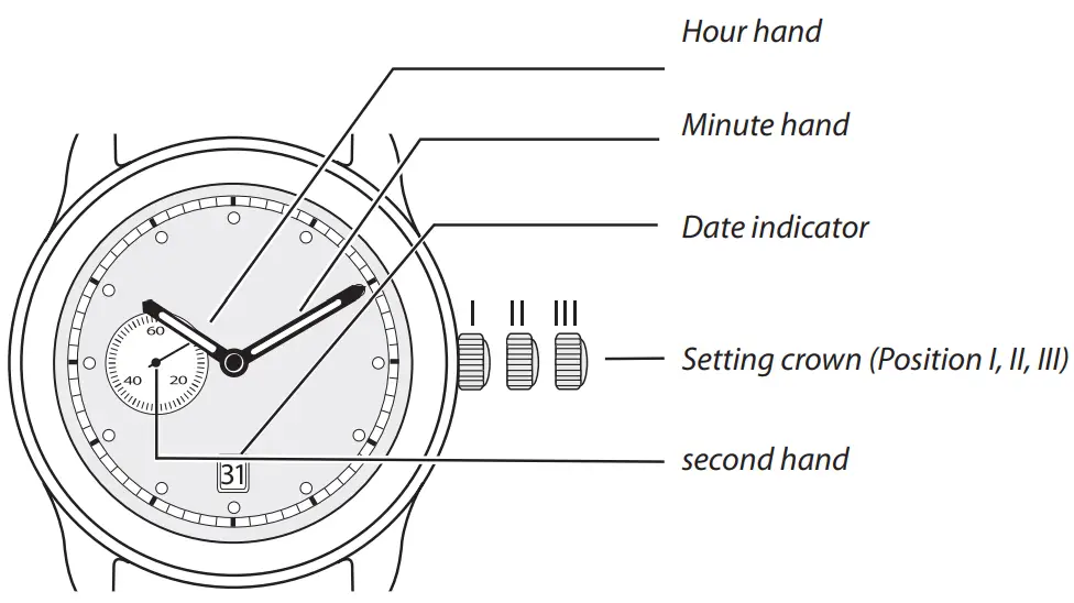 DISPLAY. Watch hands