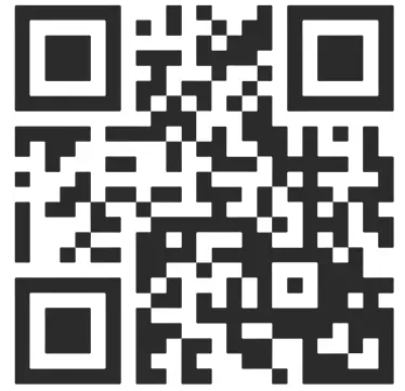 KIDZTECH 87202 Roller MAZ RC Truck - qr