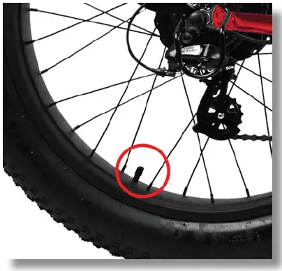 DAYMAK MAX 36V 36V Off Road Electric Bike FIG 10