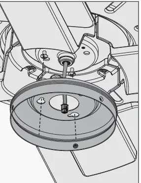 Hunter 51581 Terrace Cove Ceiling Fan 24