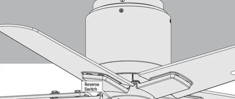 Hunter 51581 Terrace Cove Ceiling Fan 30