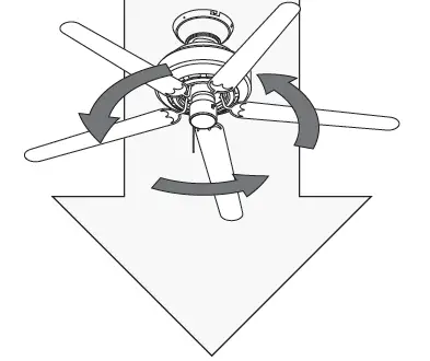 Hunter 51581 Terrace Cove Ceiling Fan 32