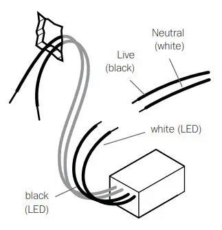 BOCCI 84Vs Brass - DESCRIPTION