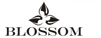 BLOSSOM-V801-Jena-30-Inch-Vanit