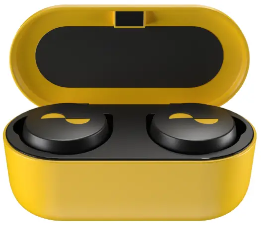 FOOL'S GOLD Nuratrue Wireless Earbuds 1