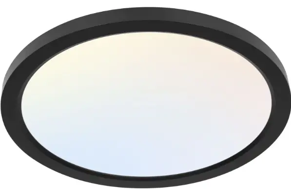 TRIO 680319106 Ceiling Light