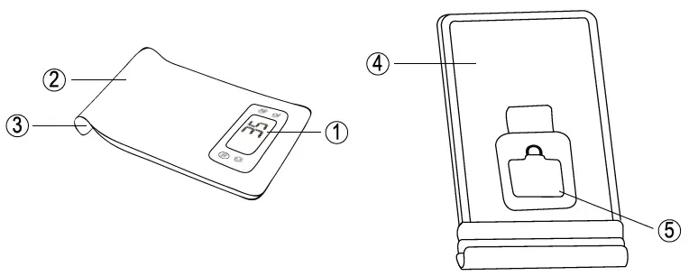 BUCCAN-Stainless-Kitchen-Scale-with-Hood-FIG-1