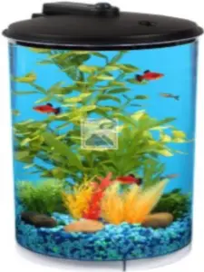 AP360-2FFP-2-Gallon-360-Aquarium