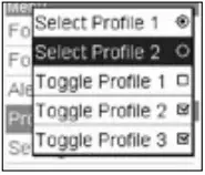 SWISSPHONE s.QUAD X15 Pager RFID Bluetooth FIG 12