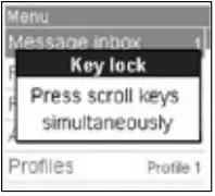 SWISSPHONE s.QUAD X15 Pager RFID Bluetooth FIG 3