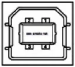 USB interface pin definitio