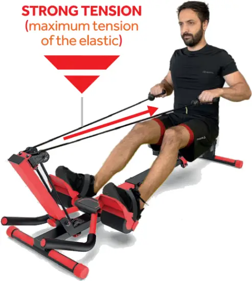 NP10181 - Elastic Tension 3