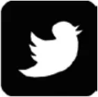 NP10181 - Social Media 2