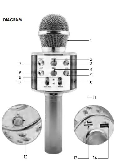 Dgl Group KARAOKE Wireless Mic & Built-in Speaker-1
