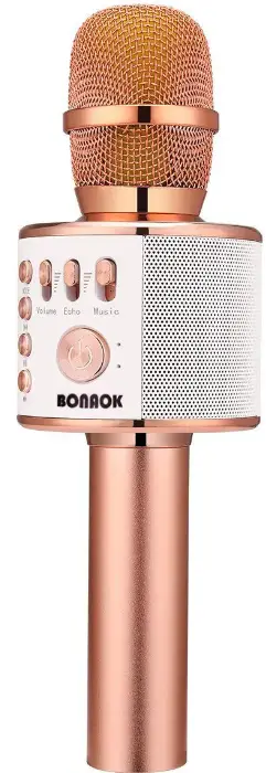 Dgl Group KARAOKE Wireless Mic & Built-in Speaker-product