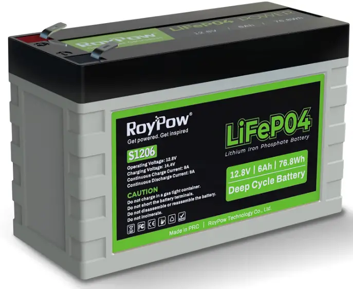 RoyPow S2450 Floor Cleaning Machine Battery