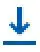 download icon