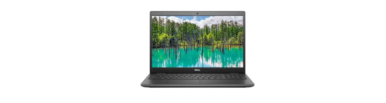 Dell P104f Latitude 5530 User Guide