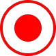 red record icon