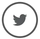 Twitter Icon