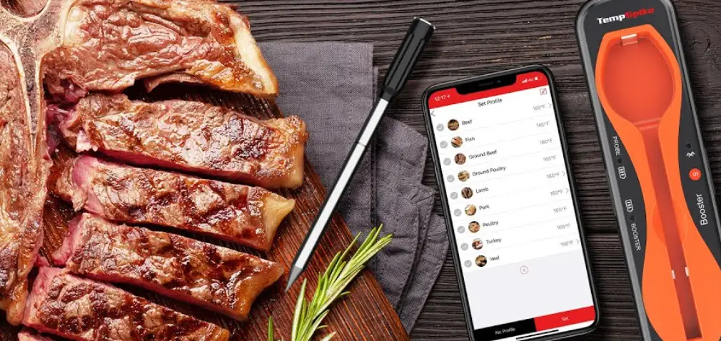 Temppro Tp961 Truly Wireless Bluetooth Meat Thermometer User Manual