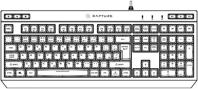 RAPTURE RPT-GEKC10RB X-RAY Outemu Blue-Pink Gaming Keyboard