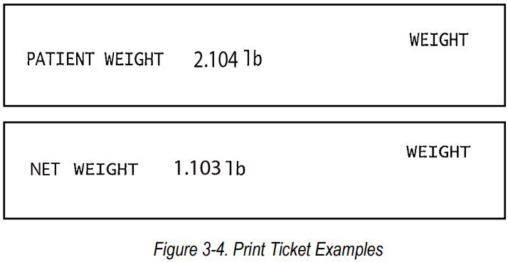 RICE LAKE 650101 Neonatal Scale - Ticket Examples