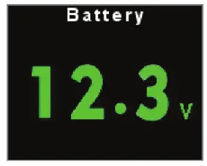 AIM IBTS M Infrared Temperature System - maximum recorded