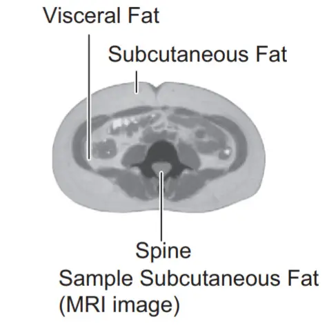 OMRON BCM 500 Body Composition Monitor and Scale with Bluetooth - figure 54