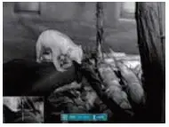 InfiRay FL25R Finder Thermal Imaging Monocular 14