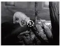 InfiRay FL25R Finder Thermal Imaging Monocular 7