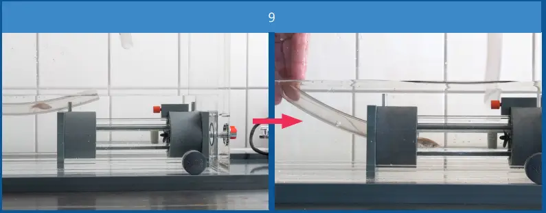 Loligo Systems SW10050 Mini Swim Tunnel-fig7