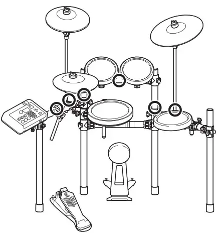 Connect the drum trigger module to a power supply