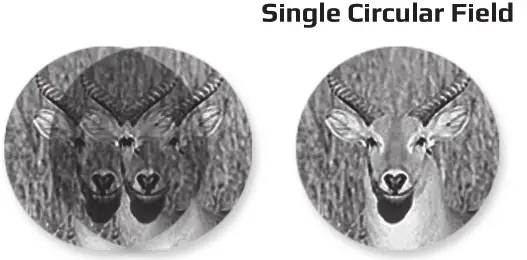 CARSON Compact Binoculars - Single Circular Field