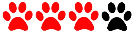 Raingler NETS GRIPS Toyota Tacoma Double-Crew Cab Barrier and Ceiling Nets - fig 1