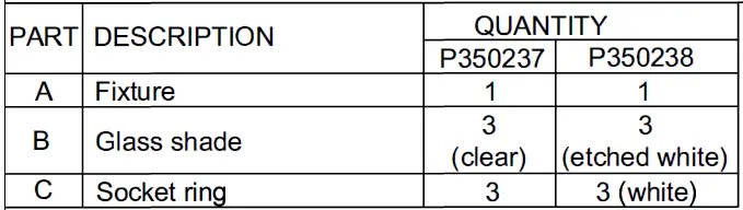 PROGRESS-LIGHTING-P350238-3-Light-Flush-Mount- (1)
