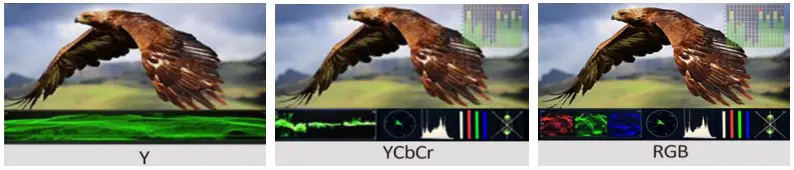 LILLIPUT RM 503S 3 X 5 Inch 2RU Rackmount SDI Monitor - Key Function 12